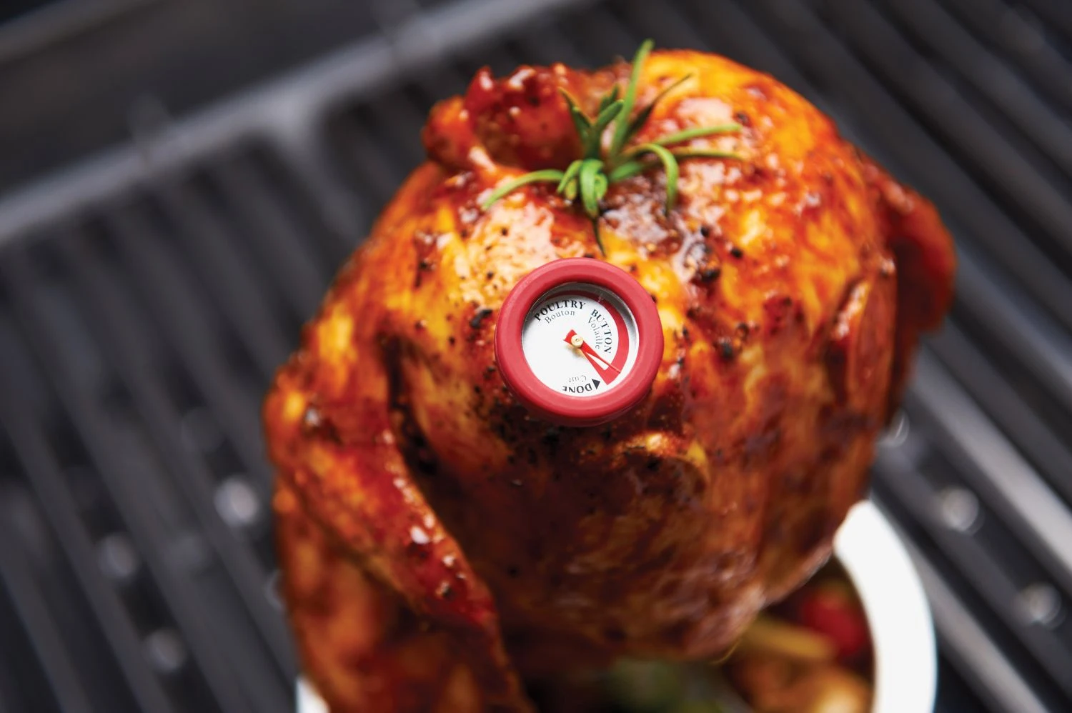 Broil King Mini Einstechthermometer Set 1 Broil King Mini Einstechthermometer Set