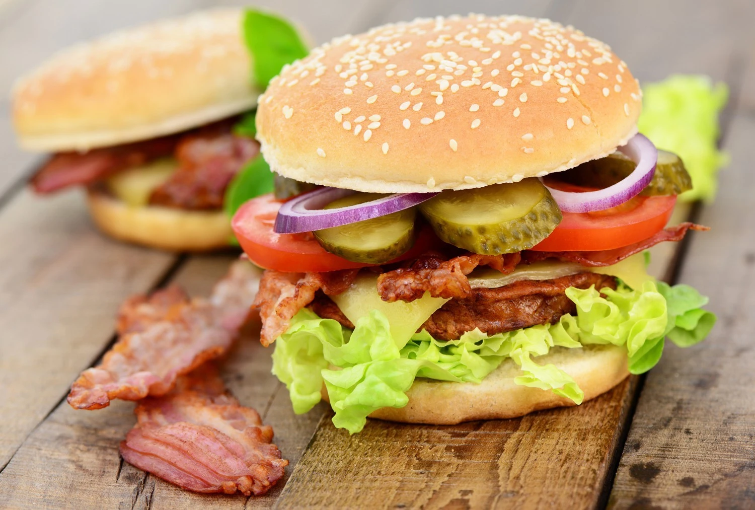 Rösle Burgerpresse Ø11 Cm 4 Rösle Burgerpresse Ø11 Cm – Bild 4