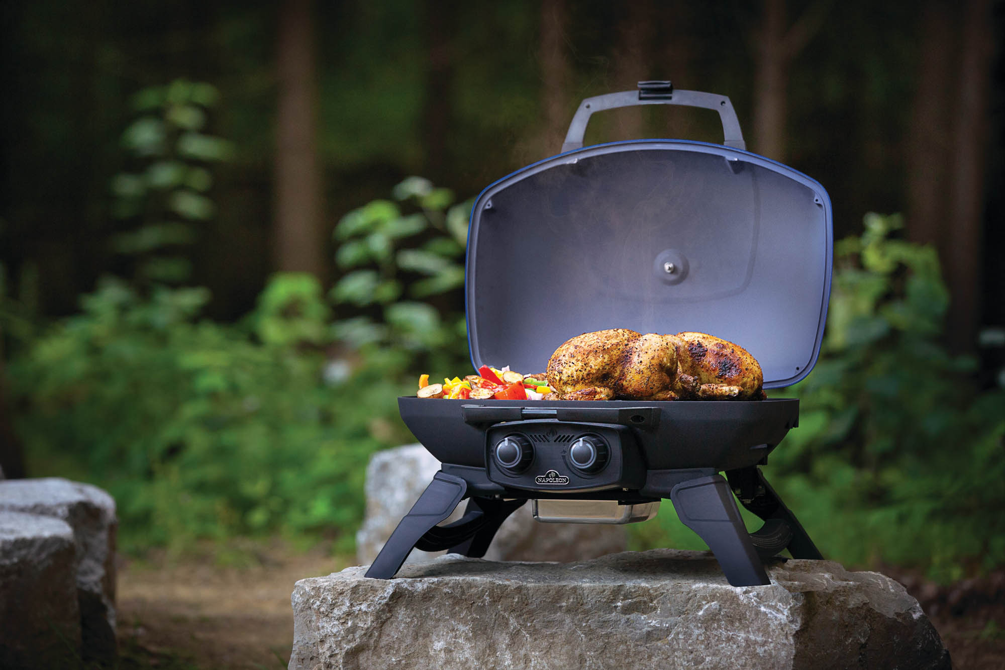 Napoleon Verkaufsgeschäft -Napoleon Verkaufsgeschäft Napoleon TravelQ 285 Portable Propane Gas Grill Lifestyle 03